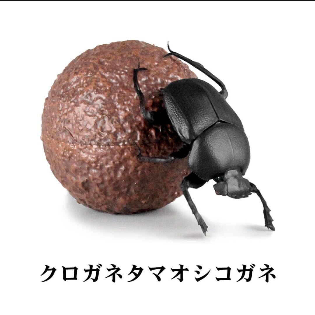 Amazon | アニマリエコレクション 1/1 フンコロガシ 全4種類 リアル